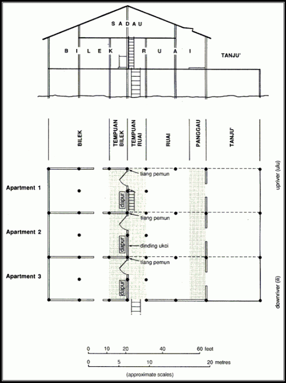 Longhouse Section and Plan